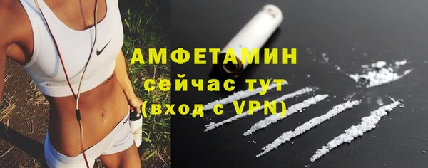индика Рославль