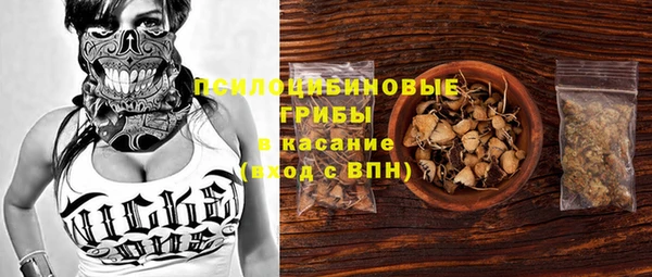 прущие крисы Аркадак