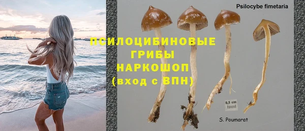 прущие крисы Аркадак